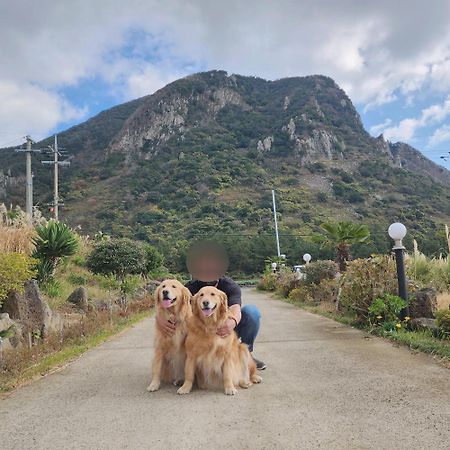 Jeju 542 Pension Seogwipo Bagian luar foto