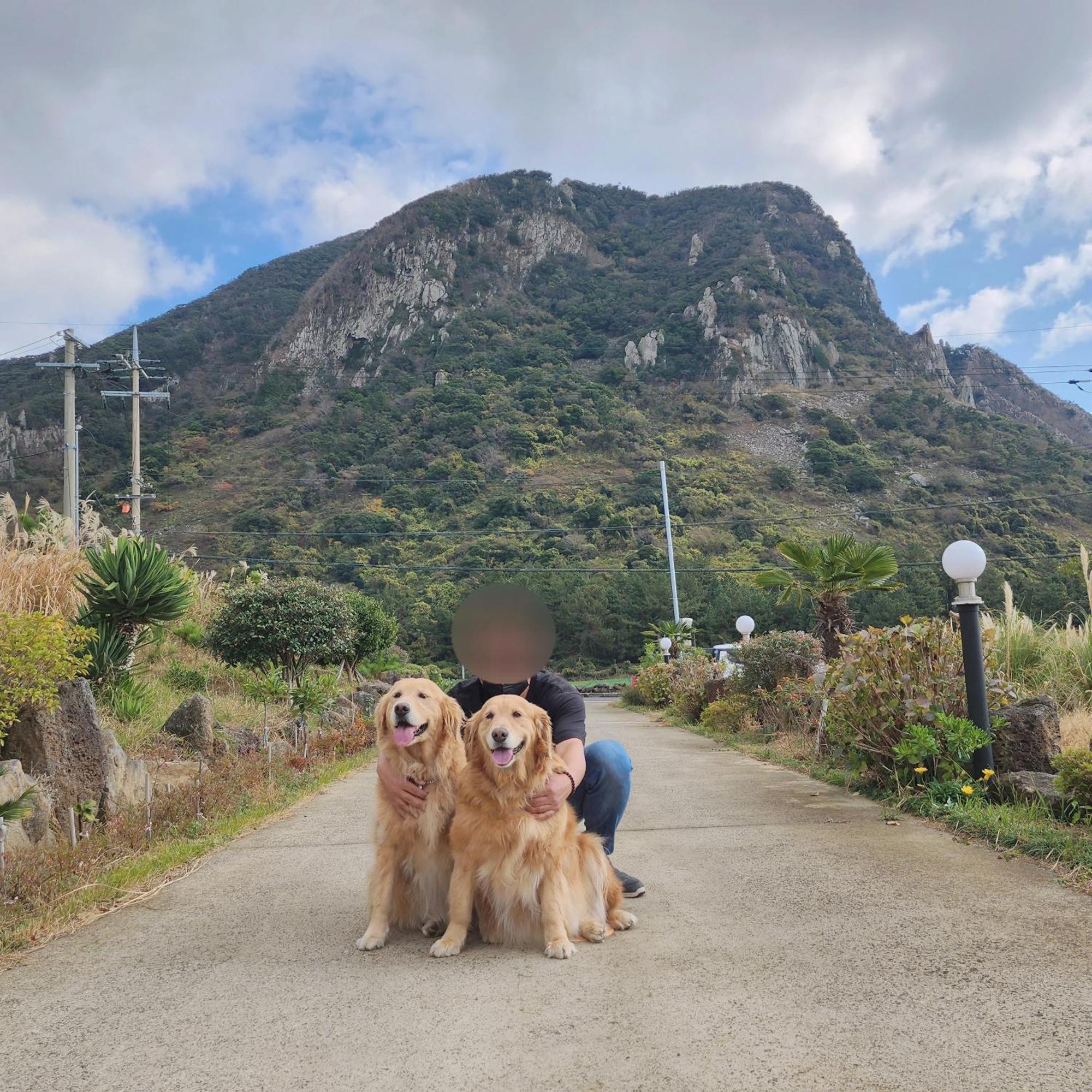Jeju 542 Pension Seogwipo Bagian luar foto